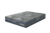 MLily Midnight 12" Hybrid Mattress
