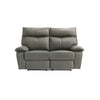 Wildcat - Motion Loveseat - Gray