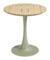 Oswego Bistro Table Green
