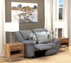Trifecta - Reclining Loveseat