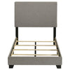 Dorian - Upholstered Panel Bed