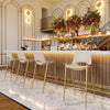 Desi Barstool Beige & Gold — Set of 2