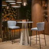 Linz Barstool Gray — Set of 2