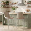 Magnus Counter Stool Brown & Silver — Set of 2