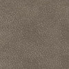Lixtowel Recliner - Fog