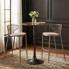 Silues Barstool Taupe & Brown — Set of 2