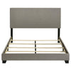 Dorian - Upholstered Panel Bed
