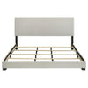Dorian - Upholstered Panel Bed
