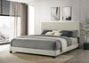 Dorian - Upholstered Panel Bed