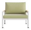 Lychee Armchair Green