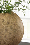 Iansboro Vase - Antique Gold Finish