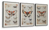 Jossletts Wall Art (Set of 3)