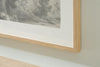 Casslock Wall Art