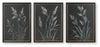 Janisburg Wall Art (Set of 3)