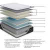 Anniversary Edition Pillowtop Queen Mattress