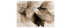 Brown Multi Alexia Collection 5' X  8'
