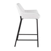 Daniella Fixed-Height Counter Stool - Set of 2