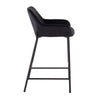 Daniella Fixed-Height Counter Stool - Set of 2