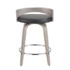 Grotto 24" Fixed-Height Counter Stool - Set of 2