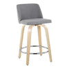 Toriano 24" Fixed-Height Counter Stool - Set of 2
