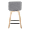 Toriano 24" Fixed-Height Counter Stool - Set of 2