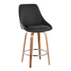 Diana 26" Fixed-Height Counter Stool - Set of  2