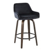 Daniella 26" Fixed-Height Counter Stool - Set of 2