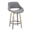 Fabrico 26" Fixed-Height Counter Stool - Set of 2