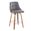 Gianna Fixed-Height Counter Stool - Set of 2