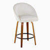 Matisse Highback 26" Fixed-Height Counter Stool - Set of 2