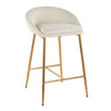 Matisse Counter Stool - Set of 2