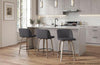 Toriano 26" Fixed Height Counter Stool - Set of 2