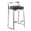 Fuji DLX Counter Stool - Set of 2
