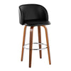 Fran 29" Fixed-Height Barstool - Set of 2