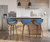 Curvini 30'' Fixed-Height Barstool - Set of 2