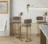 Mid-back Demi 30" Fixed-Height Barstool - Set of 2
