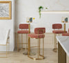 Mid-back Demi 30" Fixed-Height Barstool - Set of 2