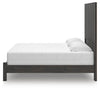 Fraluna King Panel Bed