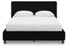 Zuraleus Queen Upholstered Bed - Black