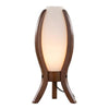 Case Table Lamp