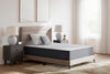 Anniversary Edition Plush Queen Mattress