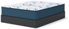 Limited Edition Firm 3.0 Queen Mattress