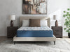Limited Edition Plush 3.0 Queen Mattress