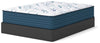 Limited Edition Plush 3.0 Queen Mattress