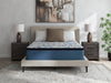 Limited Edition Plush PT 3.0 Queen Mattress