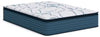 Limited Edition Plush PT 3.0 Queen Mattress