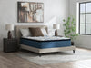 Limited Edition Plush PT 3.0 Queen Mattress