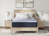 Firm Luxe 2.0 Queen Mattress