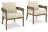 Serene Bay Outdoor Dining Arm Chair with Cushion (Set of 2)