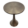 Lenuxe 24" Metal Accent Table